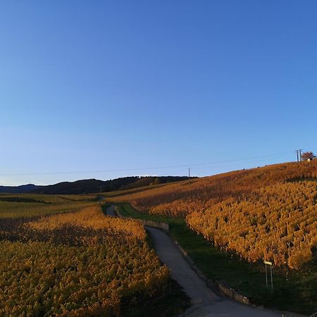 ベルクハイムCocon De Caractere Au Coeur Des Vignes Alsaciennesアパートメント エクステリア 写真
