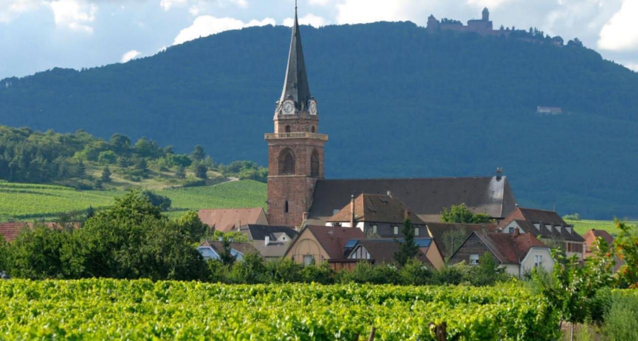 ベルクハイムCocon De Caractere Au Coeur Des Vignes Alsaciennesアパートメント エクステリア 写真